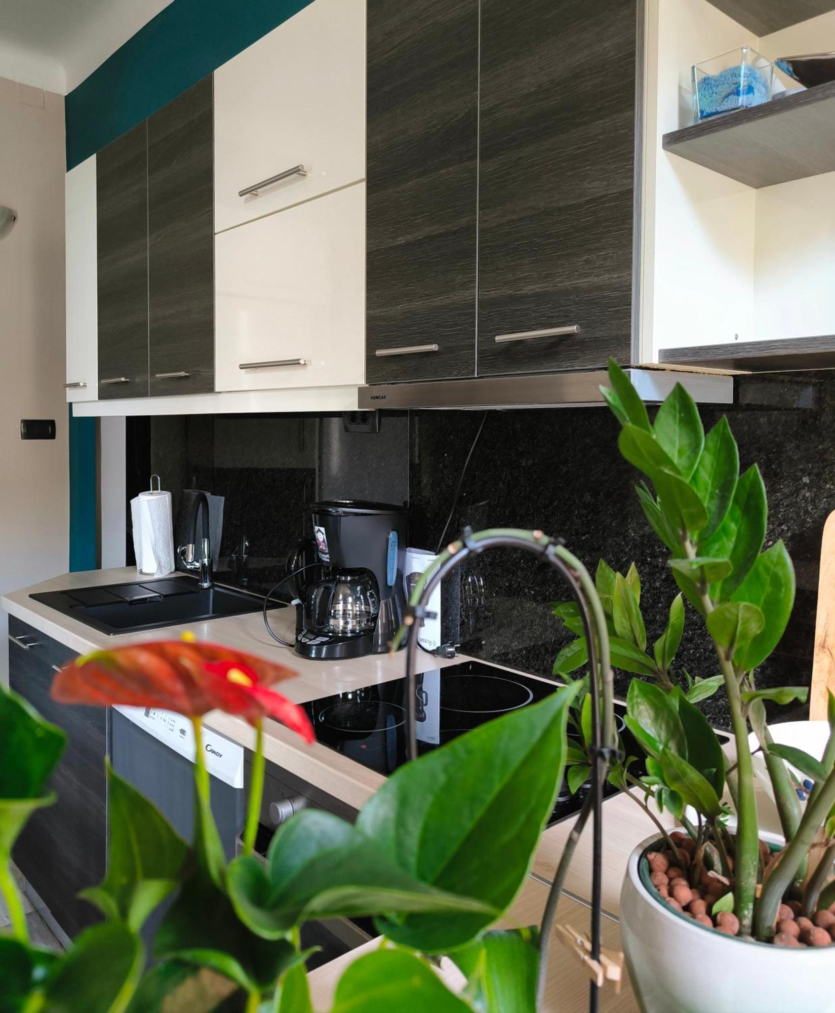 Urban Villa Apartment โอปาติยา ภายนอก รูปภาพ